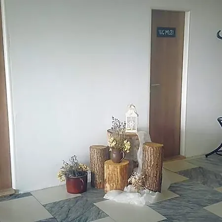 Hotel Salas Senow koło Nowego Jiczyna