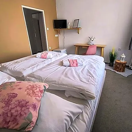 Salas Senow koło Nowego Jiczyna