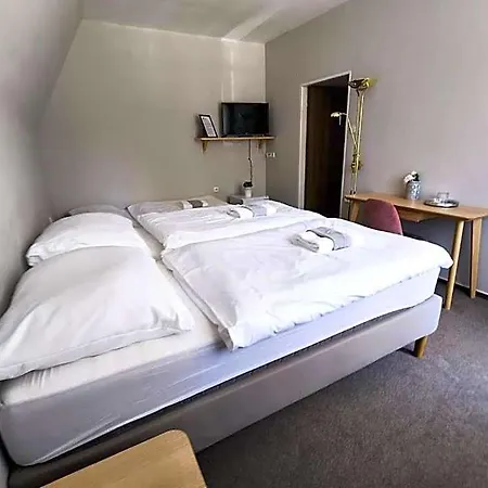 Salas 3* Senow koło Nowego Jiczyna